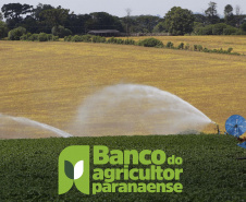 Banco do Agricultor Paranaense marca nova aposta do Estado no agronegócio. Foto: Gilson Abreu/AEN