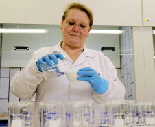 Centro de Tecnologia em Saúde e Meio Ambiente do Tecpar realizou cerca de 270 ensaios de embalagens plásticas ou de celulose para empresas de todo o Paraná. Foto: Tecpar