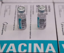 São 303.000 doses da Covishield, da Universidade de Oxford/Astrazeneca/Fiocruz, e 6.200 doses da Coronavac. Doses serão distribuídas às 22 Regionais do Paraná a partir das 8h desta sexta-feira (29). Foto: Ari Dias/AEN