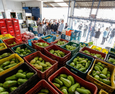 O governador Carlos Massa Ratinho Junior acompanha  a entrega nesta sexta-feira (30), de cerca de 50 mil quilos de produtos arrecadados junto aos permissionários, atacadistas e produtores no Ceasa. Foto: Jonathan Campos