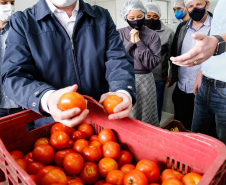 O governador Carlos Massa Ratinho Junior acompanha  a entrega nesta sexta-feira (30), de cerca de 50 mil quilos de produtos arrecadados junto aos permissionários, atacadistas e produtores no Ceasa. Foto: Jonathan Campos