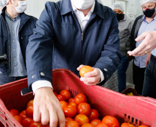 O governador Carlos Massa Ratinho Junior acompanha  a entrega nesta sexta-feira (30), de cerca de 50 mil quilos de produtos arrecadados junto aos permissionários, atacadistas e produtores no Ceasa. Foto: Jonathan Campos