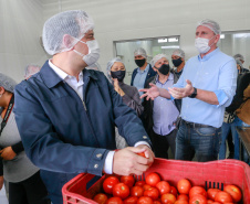 Governo comemora um ano do Banco de Alimentos da Ceasa Paraná - Foto: Valdelino Pontes