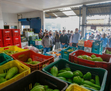 Governo comemora um ano do Banco de Alimentos da Ceasa Paraná - Foto: Valdelino Pontes