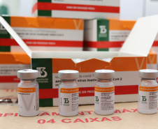 Com novo lote de 406,1 mil doses, Paraná imunizará pessoas com comorbidades e gestantes. Foto: Geraldo Bubniak/AEN