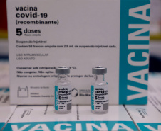 O Paraná recebe nesta segunda-feira (03) mais 391.500 doses  de vacinas da Covishield, da Universidade de Oxford/AstraZeneca/Fiocruz. - Curitiba, 02/05/2021   -  Foto: Ari Dias/Arquivo AEN