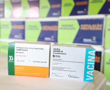 O Governo do Estado receu neste sábado (20),  mais 240.450 doses de vacinas contra o coronavírus. São 234.200 doses da Coronavac, produzida pela Sinovac e Instituto Butantan, e 6.250 do imunizante desenvolvido pela Universidade de Oxford/AstraZeneca, parte do primeiro lote fabricado pela Fundação Oswaldo Cruz (Fiocruz).  -  Curitiba, 20/03/2021  -  Foto: Ari Dias/AEN