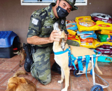 Nesta semana, instituições e famílias paranaenses em situação de vulnerabilidade social receberam mais de 5,6 toneladas de alimentos, 1,6 tonelada de ração para cães e gatos e 221 litros de álcool para higienização das mãos, que foram arrecadados durante a campanha Aniversário Solidário do Batalhão de Polícia Ambiental Força-Verde (BPAmb-FV).   -  Curitiba, 05/05/2021  -  Foto: SESP/PR