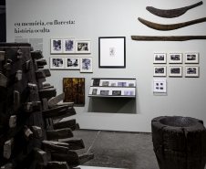 Museu Paranaense reabre neste sábado com quatro mostras inéditas . “Eu Memória, Eu Floresta: História Oculta  - Curitiba, 06/05/2021  -  Foto: Marcelo Almeida