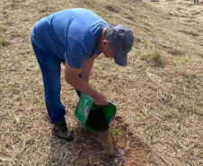 O prazo para o envio de sugestões e exemplos a serem seguidos com foco na melhoria do meio ambiente foi prorrogado pela Secretaria do desenvolvimento Sustentável e do Turismo (Sedest).  -  Curitiba, 07/05/2021  -  Foto: SEDEST/IAT