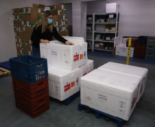 O Paraná recebeu neste sábado (08) mais 57.800 doses da vacina contra a Covid-19. O imunizante é o CoronaVac, produzido em parceria pela farmacêutica chinesa Sinovac e o Instituto Butantan, de São Paulo.  Foto:Ari Dias/AEN