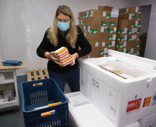 O Paraná recebeu neste sábado (08) mais 57.800 doses da vacina contra a Covid-19. O imunizante é o CoronaVac, produzido em parceria pela farmacêutica chinesa Sinovac e o Instituto Butantan, de São Paulo.  Foto:Ari Dias/AEN