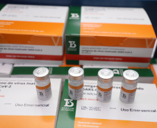 O Paraná recebeu neste sábado (08) mais 57.800 doses da vacina contra a Covid-19. O imunizante é o CoronaVac, produzido em parceria pela farmacêutica chinesa Sinovac e o Instituto Butantan, de São Paulo.  Foto:Ari Dias/AEN