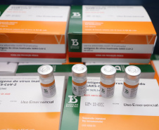 O Paraná recebeu neste sábado (08) mais 57.800 doses da vacina contra a Covid-19. O imunizante é o CoronaVac, produzido em parceria pela farmacêutica chinesa Sinovac e o Instituto Butantan, de São Paulo.  Foto:Ari Dias/AEN