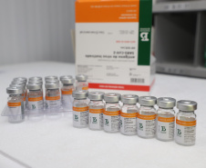 O Paraná recebeu neste sábado (08) mais 57.800 doses da vacina contra a Covid-19. O imunizante é o CoronaVac, produzido em parceria pela farmacêutica chinesa Sinovac e o Instituto Butantan, de São Paulo.  Foto:Ari Dias/AEN