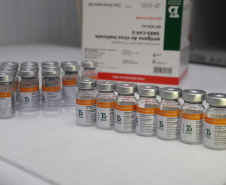 O Paraná recebeu neste sábado (08) mais 57.800 doses da vacina contra a Covid-19. O imunizante é o CoronaVac, produzido em parceria pela farmacêutica chinesa Sinovac e o Instituto Butantan, de São Paulo.  Foto:Ari Dias/AEN