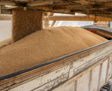 As importações puxaram a movimentação de cargas pelos portos do Paraná no primeiro quadrimestre do ano. Com altas significativas na descarga de produtos dos segmentos de Carga Geral e Granéis Sólidos, os terminais de Paranaguá e Antonina movimentaram 18.262.189 toneladas, de janeiro a abril. - Paranaguá, 10/05/2021  -  Foto: Claudio Neves/Portos do Paraná