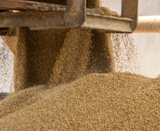 As importações puxaram a movimentação de cargas pelos portos do Paraná no primeiro quadrimestre do ano. Com altas significativas na descarga de produtos dos segmentos de Carga Geral e Granéis Sólidos, os terminais de Paranaguá e Antonina movimentaram 18.262.189 toneladas, de janeiro a abril. - Paranaguá, 10/05/2021  -  Foto: Claudio Neves/Portos do Paraná