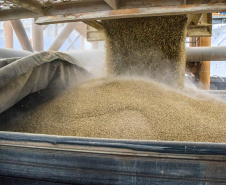 As importações puxaram a movimentação de cargas pelos portos do Paraná no primeiro quadrimestre do ano. Com altas significativas na descarga de produtos dos segmentos de Carga Geral e Granéis Sólidos, os terminais de Paranaguá e Antonina movimentaram 18.262.189 toneladas, de janeiro a abril. - Paranaguá, 10/05/2021  -  Foto: Claudio Neves/Portos do Paraná