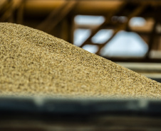 As importações puxaram a movimentação de cargas pelos portos do Paraná no primeiro quadrimestre do ano. Com altas significativas na descarga de produtos dos segmentos de Carga Geral e Granéis Sólidos, os terminais de Paranaguá e Antonina movimentaram 18.262.189 toneladas, de janeiro a abril. - Paranaguá, 10/05/2021  -  Foto: Claudio Neves/Portos do Paraná