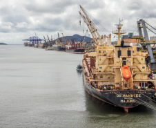 As importações puxaram a movimentação de cargas pelos portos do Paraná no primeiro quadrimestre do ano. Com altas significativas na descarga de produtos dos segmentos de Carga Geral e Granéis Sólidos, os terminais de Paranaguá e Antonina movimentaram 18.262.189 toneladas, de janeiro a abril. - Paranaguá, 10/05/2021  -  Foto: Claudio Neves/Portos do Paraná