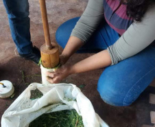 Mestranda do programa de Pós-graduação em Zootecnia da Universidade Estadual do Oeste do Paraná, campus de Marechal Cândido Rondon, a zootecnista Ida Barbosa de Andrade conquista segundo lugar no concurso de dissertações "Tech Women Paper Contest", que faz parte do evento  "Tech Women Summit", para que pesquisadoras da área de STEM - "science, technology, engineering, and mathematics"   - Cascavel, 13/05/2021  -  Foto: UNIOESTE