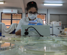 Mestranda do programa de Pós-graduação em Zootecnia da Universidade Estadual do Oeste do Paraná, campus de Marechal Cândido Rondon, a zootecnista Ida Barbosa de Andrade conquista segundo lugar no concurso de dissertações "Tech Women Paper Contest", que faz parte do evento  "Tech Women Summit", para que pesquisadoras da área de STEM - "science, technology, engineering, and mathematics"   - Cascavel, 13/05/2021  -  Foto: UNIOESTE