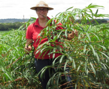 Mestranda do programa de Pós-graduação em Zootecnia da Universidade Estadual do Oeste do Paraná, campus de Marechal Cândido Rondon, a zootecnista Ida Barbosa de Andrade conquista segundo lugar no concurso de dissertações "Tech Women Paper Contest", que faz parte do evento  "Tech Women Summit", para que pesquisadoras da área de STEM - "science, technology, engineering, and mathematics"   - Cascavel, 13/05/2021  -  Foto: UNIOESTE