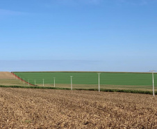 A Copel está iniciando a construção de uma subestação na região leste de Cianorte, que irá reforçar o sistema de alta tensão para atendimento ao município e também para as cidades vizinhas. -  Foto: Copel