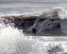 As mudanças propostas pelo Governo do Estado no projeto de recuperação a Orla de Matinhos vão ter interferência na prática do surf. Entre as intervenções, estão previstas estruturas de contenção para conter as cheias provocadas pela maré alta. -  Foto: Surfista local