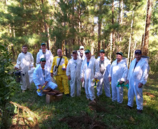 Projetos desenvolvidos pela Universidade Estadual do Centro-Oeste (Unicentro) e a Universidade Estadual de Londrina (UEL) vêm fortalecendo a atividade produtiva da Apicultura, a partir da capacitação técnica de produtores rurais. Com foco em boas práticas apícolas, as iniciativas contemplam a produção e o beneficiamento de mel e derivados, em conformidade com os padrões sanitários.  -  Foto: SETI