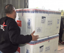 O Paraná recebeu mais 62 mil doses da vacina Coronavac, da parceria entre Sinovac e Instituto Butantan, nesta sexta-feira (14). As doses se referem a uma atualização na 19ª pauta de distribuição de vacinas contra a Covid-19 do Ministério da Saúde.  Foto: Américo Antonio/SESA