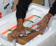 O Paraná recebeu mais 62 mil doses da vacina Coronavac, da parceria entre Sinovac e Instituto Butantan, nesta sexta-feira (14). As doses se referem a uma atualização na 19ª pauta de distribuição de vacinas contra a Covid-19 do Ministério da Saúde. Foto: Américo Antonio/SESA