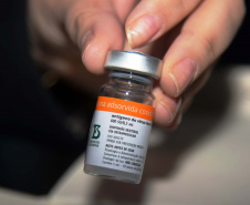 O Paraná recebeu mais 62 mil doses da vacina Coronavac, da parceria entre Sinovac e Instituto Butantan, nesta sexta-feira (14). As doses se referem a uma atualização na 19ª pauta de distribuição de vacinas contra a Covid-19 do Ministério da Saúde.  Foto: Américo Antonio/SESA