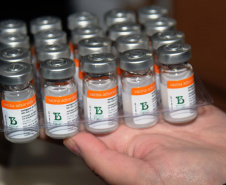 O Paraná recebeu mais 62 mil doses da vacina Coronavac, da parceria entre Sinovac e Instituto Butantan, nesta sexta-feira (14). As doses se referem a uma atualização na 19ª pauta de distribuição de vacinas contra a Covid-19 do Ministério da Saúde.).  Foto: Américo Antonio/SESA