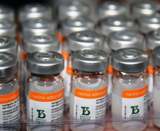 O Paraná recebeu mais 62 mil doses da vacina Coronavac, da parceria entre Sinovac e Instituto Butantan, nesta sexta-feira (14). As doses se referem a uma atualização na 19ª pauta de distribuição de vacinas contra a Covid-19 do Ministério da Saúde..  Foto: Américo Antonio/SESA