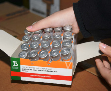 O Paraná recebeu mais 62 mil doses da vacina Coronavac, da parceria entre Sinovac e Instituto Butantan, nesta sexta-feira (14). As doses se referem a uma atualização na 19ª pauta de distribuição de vacinas contra a Covid-19 do Ministério da Saúde.  Foto: Américo Antonio/SESA