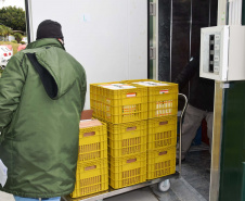 O Paraná recebeu mais 62 mil doses da vacina Coronavac, da parceria entre Sinovac e Instituto Butantan, nesta sexta-feira (14). As doses se referem a uma atualização na 19ª pauta de distribuição de vacinas contra a Covid-19 do Ministério da Saúde.  Foto: Américo Antonio/SESA