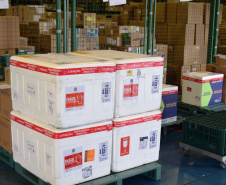 A Secretaria de Estado da Saúde (Sesa) iniciou nesta sexta-feira (14) a distribuição de mais 170.285 medicamentos elencados no chamado “kit de intubação” para pacientes internados com coronavírus. Ao todo 59 hospitais do Plano de Atendimento Covid-19 nas 22 Regionais de Saúde irão receber os medicamentos.Foto: Américo Antonio/SESA