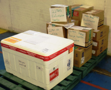 A Secretaria de Estado da Saúde (Sesa) iniciou nesta sexta-feira (14) a distribuição de mais 170.285 medicamentos elencados no chamado “kit de intubação” para pacientes internados com coronavírus. Ao todo 59 hospitais do Plano de Atendimento Covid-19 nas 22 Regionais de Saúde irão receber os medicamentos.Foto: Américo Antonio/SESA