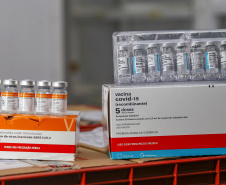 O Paraná deve receber 413.880 doses de vacina contra a Covid-19 nos próximos dias. As informações são do 18º informe técnico da 20ª pauta de distribuição do Ministério da Saúde, divulgada neste final de semana. Segundo o documento, o Estado receberá 229.100 doses do imunizante AstraZeneca/Fiocruz, 374.100 CoronaVac/Butantan e 39.780 doses da vacina Comirnaty/Pfizer. -  Curitiba, 17/05/2021  -  Foto: Gilson Abreu/AEN
Foto Gilson Abreu/AEN