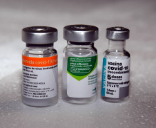 A Secretaria de Estado da Saúde registrou neste final de semana (15 e 16/05) a aplicação de mais de 14,2 mil doses da vacina contra a Covid-19. Das 22 Regionais de Saúde apenas a 22ª Regional, de Ivaiporã, não registrou a aplicação em nenhum município, ao todo, 84 municípios do Estado ofereceram a vacina para os grupos prioritários. -  Curitiba, 17/05/2021  . Foto: Américo Antonio/SESA