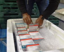 Chegaram ao Paraná, na noite desta segunda-feira (18), 374.100 novas doses do imunizante Covishield, produzido na parceria entre Universidade de Oxford, AstraZeneca e Fundação Oswaldo Cruz (Fiocruz).  -  Curitiba, 17/05/2021  -  Foto: Américo Antonio/SESA