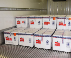 Chegaram ao Paraná, na noite desta segunda-feira (18), 374.100 novas doses do imunizante Covishield, produzido na parceria entre Universidade de Oxford, AstraZeneca e Fundação Oswaldo Cruz (Fiocruz).  -  Curitiba, 17/05/2021  -  Foto: Américo Antonio/SESA