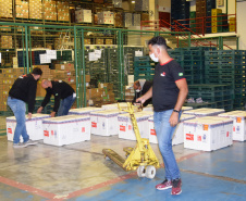 Chegaram ao Paraná, na noite desta segunda-feira (18), 374.100 novas doses do imunizante Covishield, produzido na parceria entre Universidade de Oxford, AstraZeneca e Fundação Oswaldo Cruz (Fiocruz).  -  Curitiba, 17/05/2021  -  Foto: Américo Antonio/SESA