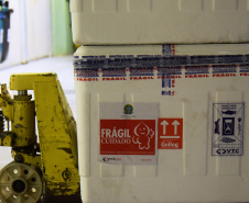 Chegaram ao Paraná, na noite desta segunda-feira (18), 374.100 novas doses do imunizante Covishield, produzido na parceria entre Universidade de Oxford, AstraZeneca e Fundação Oswaldo Cruz (Fiocruz).  -  Curitiba, 17/05/2021  -  Foto: Américo Antonio/SESA