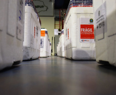 Chegaram ao Paraná, na noite desta segunda-feira (18), 374.100 novas doses do imunizante Covishield, produzido na parceria entre Universidade de Oxford, AstraZeneca e Fundação Oswaldo Cruz (Fiocruz).  -  Curitiba, 17/05/2021  -  Foto: Américo Antonio/SESA
