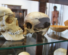 No dia Internacional do Museu (18 de maio), a Secretaria de Estado da Segurança Pública do Paraná (Sesp) destaca um personagem que tem total conexão com o Museu de Ciências Forenses da Polícia Científica do Paraná (PCP), o curador Joel Camargo, responsável por cuidar do acervo e que passou por todas as transformações da instituição e, também, do museu, em mais de 40 anos de trabalho e dedicação