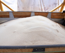 Descarga de fertilizantes está mais eficiente e a produtividade média, por dia, cresceu 20% em 2021. No primeiro quadrimestre deste ano foram 42.890 toneladas de adubo descarregadas diariamente.  -  Paranaguá, 19/05/2021  -  Foto: Claudio Neves/Portos do Paraná