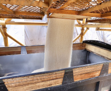 Descarga de fertilizantes está mais eficiente e a produtividade média, por dia, cresceu 20% em 2021. No primeiro quadrimestre deste ano foram 42.890 toneladas de adubo descarregadas diariamente.  -  Paranaguá, 19/05/2021  -  Foto: Claudio Neves/Portos do Paraná